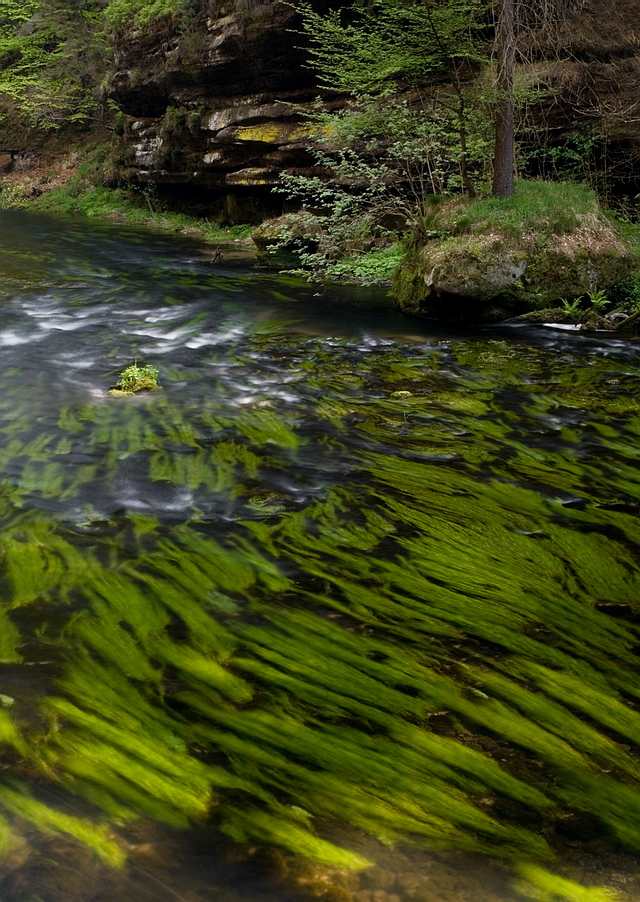 Browse gallery in a new window Browse gallery in a new window