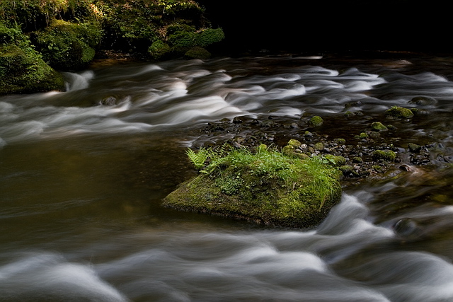 Browse gallery in a new window Browse gallery in a new window