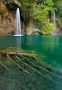 Life at plitvice under the water