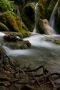 Nature contrasts at Plitvice