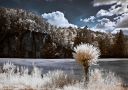 Pond Vezak in the heart of Bohemian Paradise