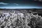 Autumn Bohemian Paradise in infrared spectrum