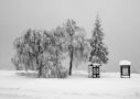 Under a snow cover