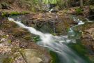 Dirkovsky creek (Rokycany area)